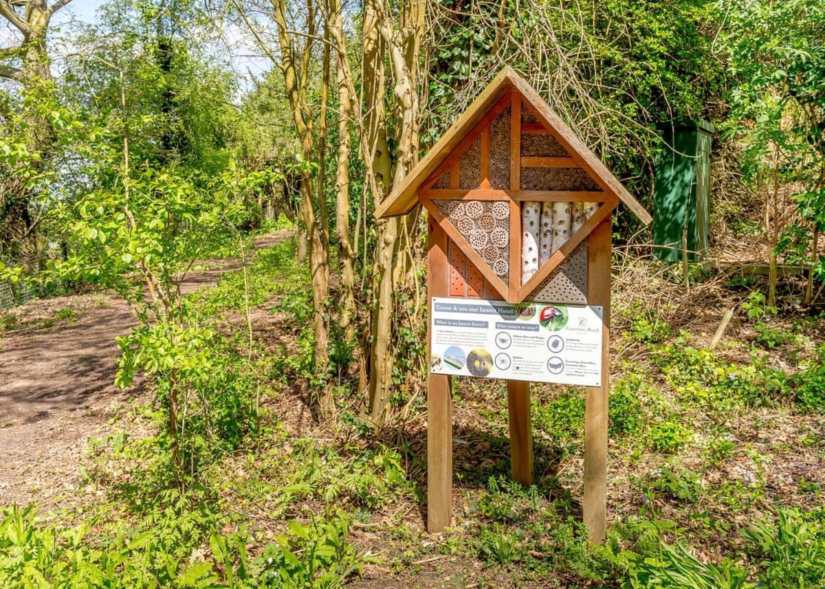 Canterbury Reach Lodge Retreat Petham Zewnętrze zdjęcie